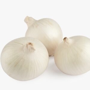 Bianca - Long day onion