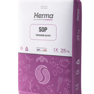 Hermainy SOP